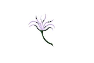 Engagement Ring Flower: A Versatile Embroidery Design